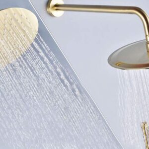 LUNGO L. GOLD BOXshower7