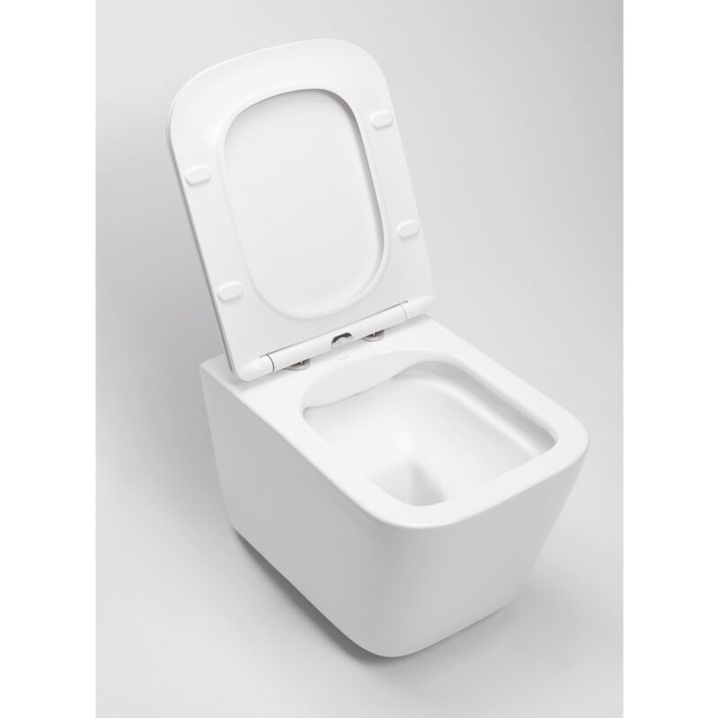 TOILET BOWL REA RAUL RIMLESS2