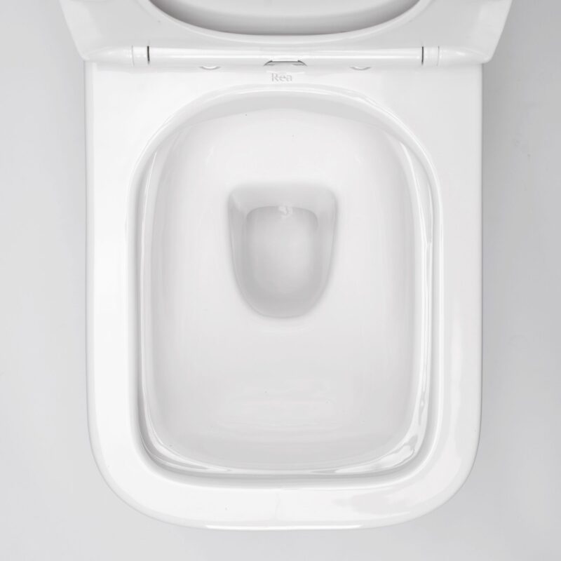 TOILET BOWL REA RAUL RIMLESS3