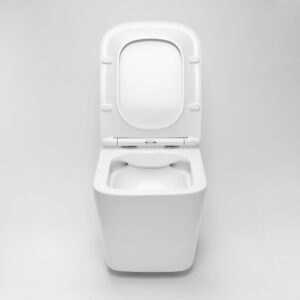 TOILET BOWL REA RAUL RIMLESS5